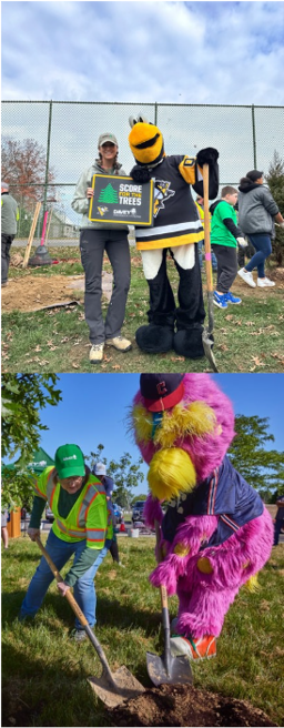 A collage of sports mascots planting trees with people.