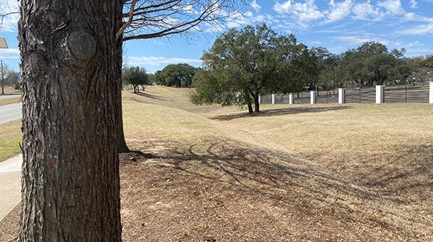 Project Profile Quinlan Park Road Tree Assessment Sideimage 608X341