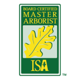 Isa