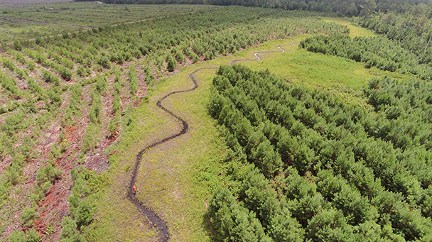 Project Profile Bachelors Delight Sideimage 608X341