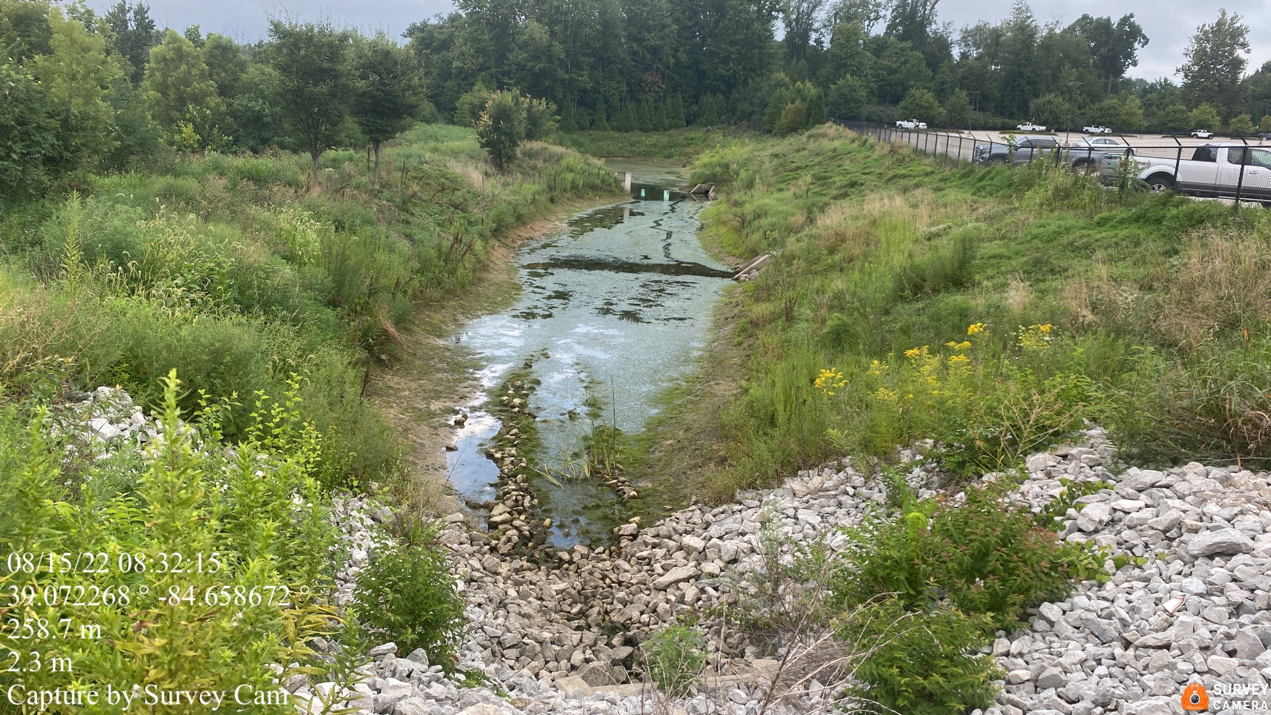 Before Algae Treatment