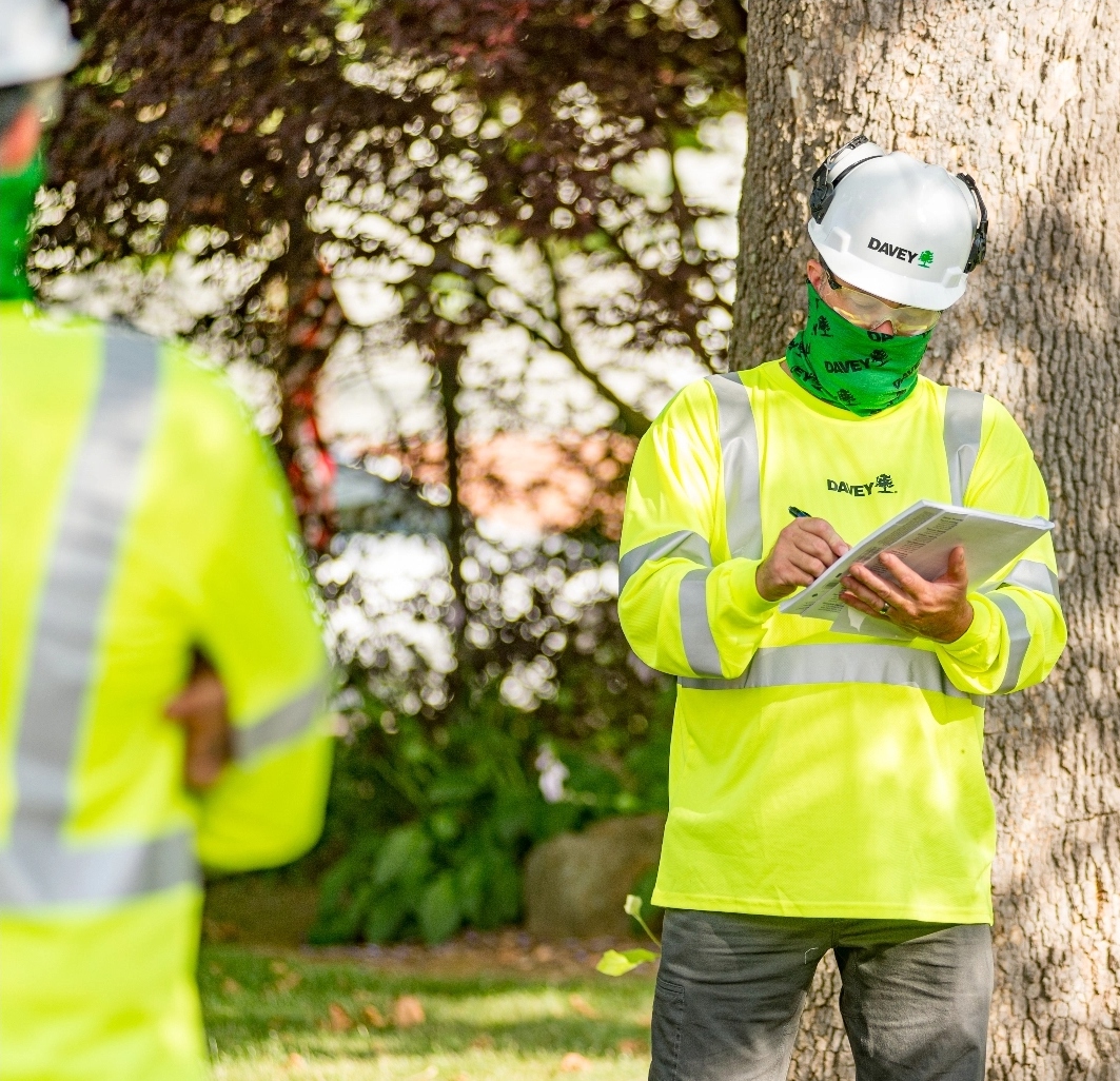 Davey Utility Solutions Providing Solutions for More Than a Century