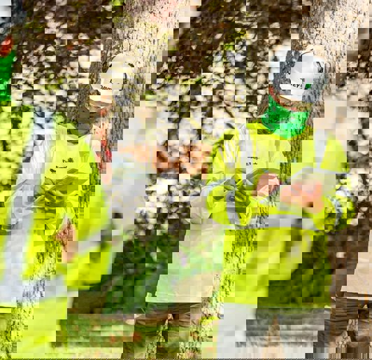 Davey Utility Solutions | Providing Solutions for More Than a Century ...