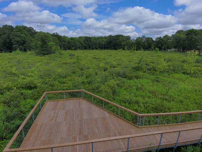 boardwalk overlooking Davey bog