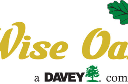 Wise Oak Logo