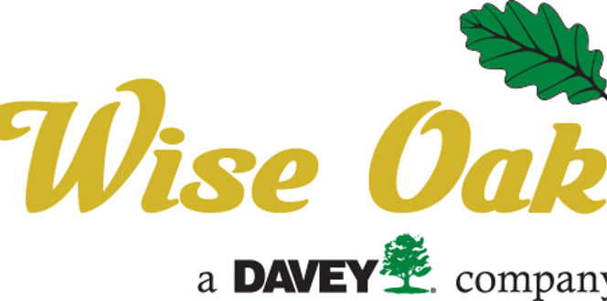 Wise Oak Logo