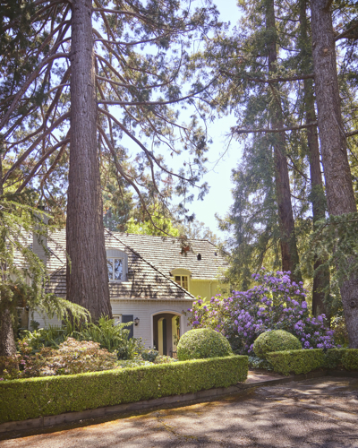 A small white house nestled between two very tall trees.