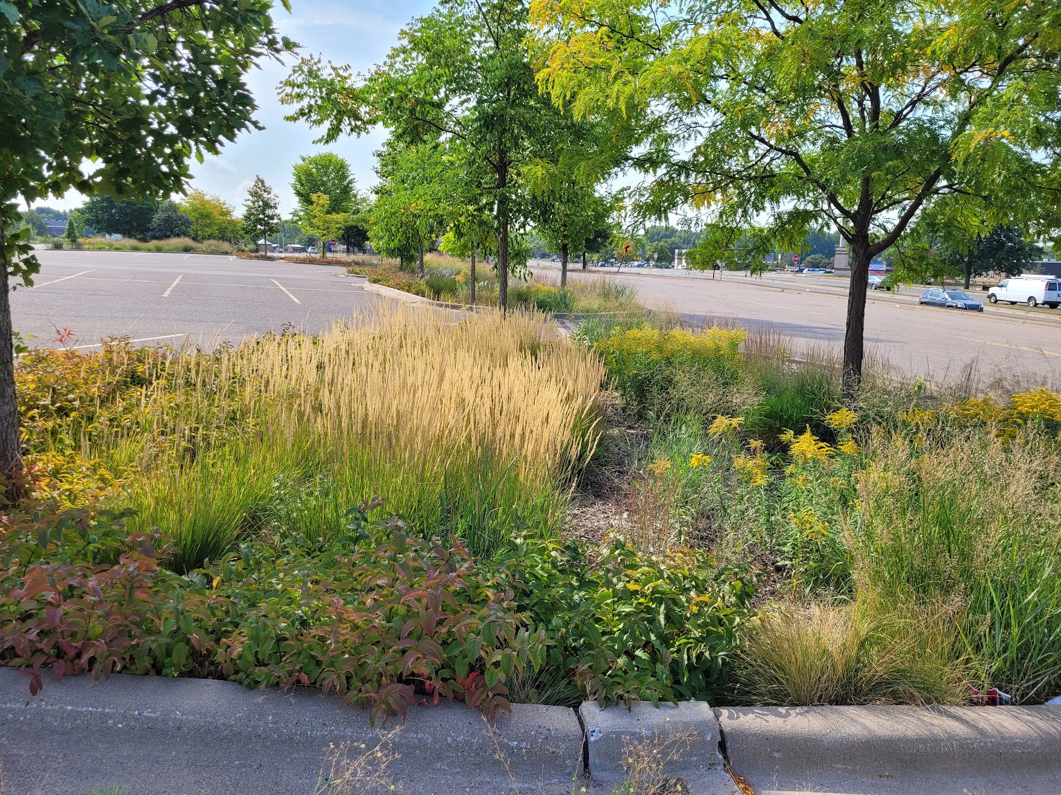 20230911 111738 Ben Rietz