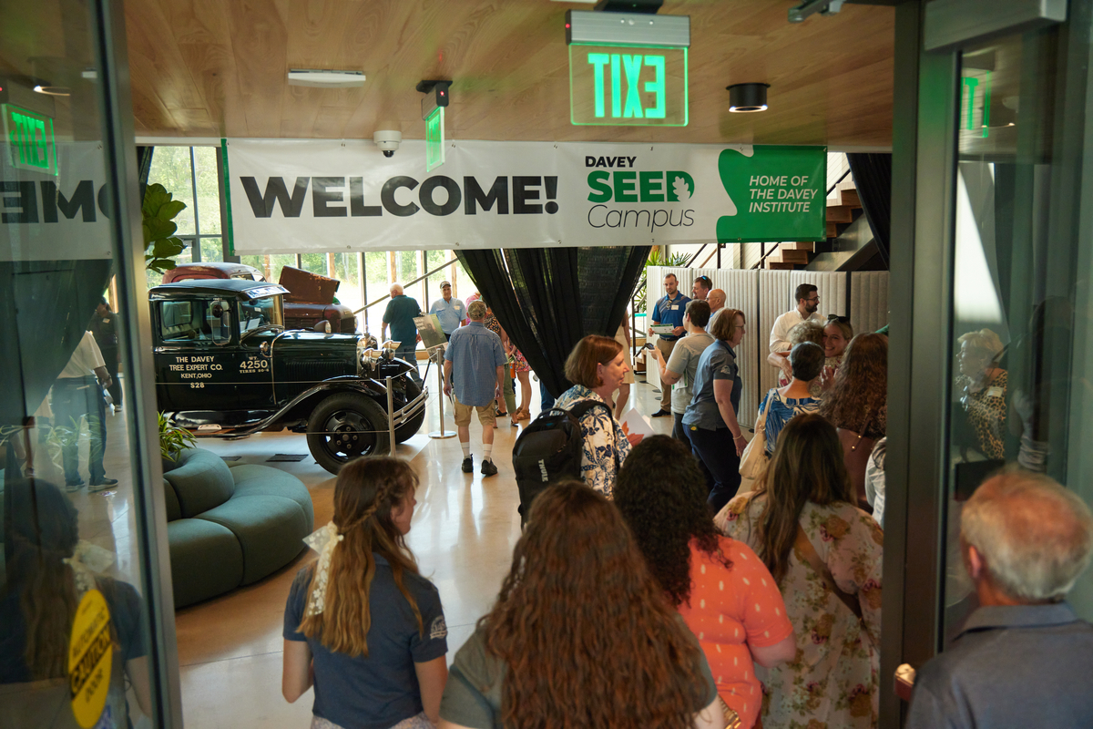 DI 0033 1200X801 E7a323f