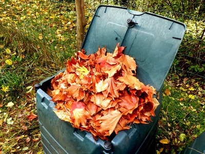 Compost leaves