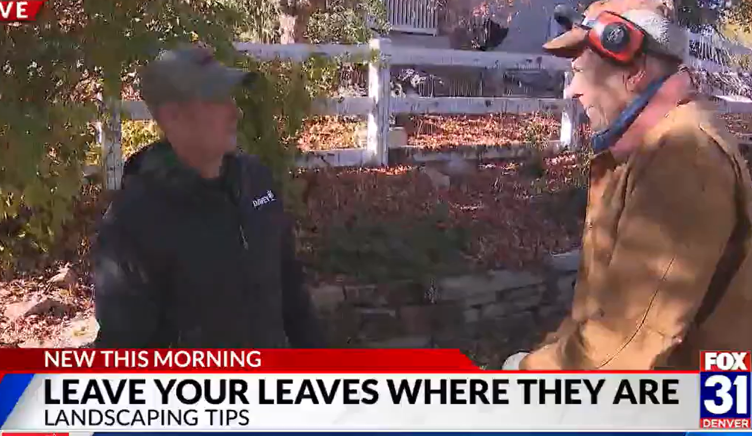 Screenshot 2025 11 05 130428