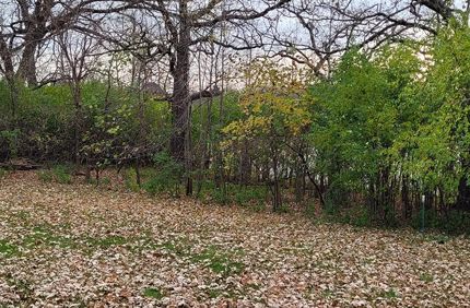 Environmental Pp Buckthorn Banner 1440X500