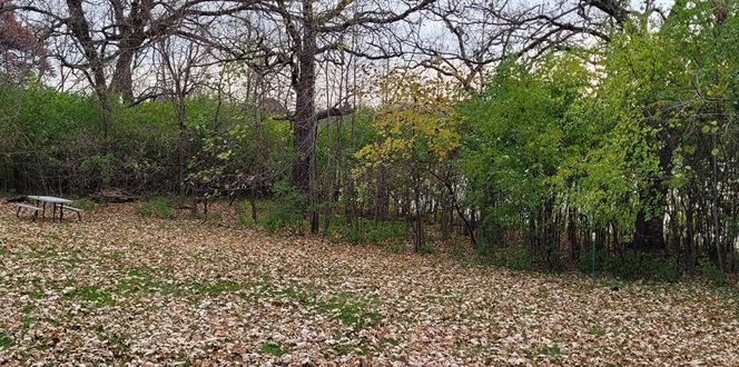 Environmental Pp Buckthorn Banner 1440X500